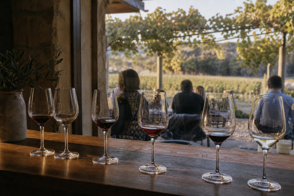 A cellar-door tasting bench with several part-poured unlabelled wine glasses in soft window light, timber counter, no branding or text.