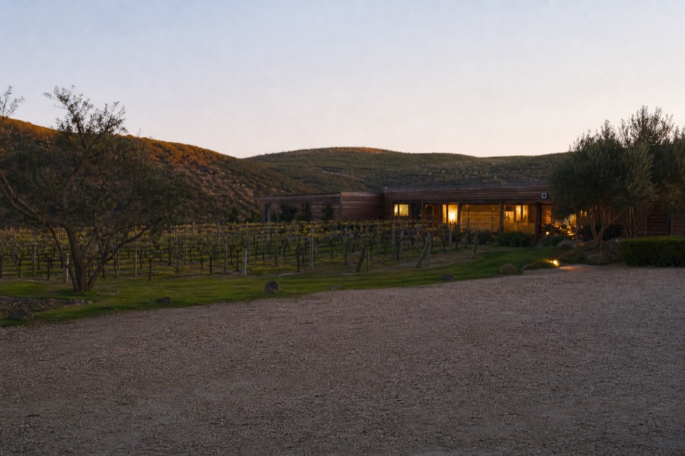 Vineyard rows running to a low timber cellar door with hills behind, warm late-afternoon light, a gravel car park empty in the foreground, no signage or people.