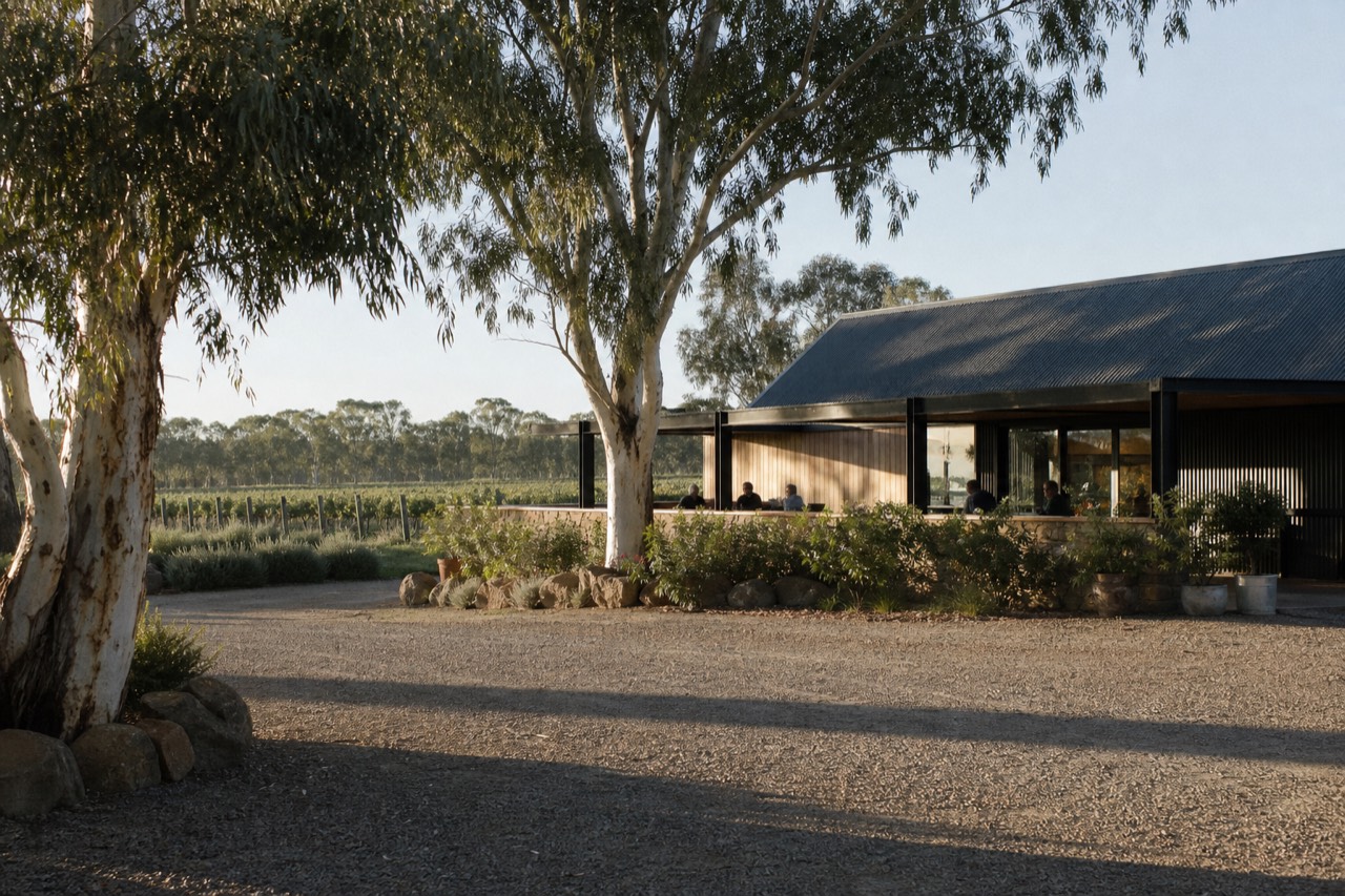 A low, handsome cellar-door building set among mature vines and tall gum trees, a gravel forecourt out front, warm afternoon light, no signage or logos visible.