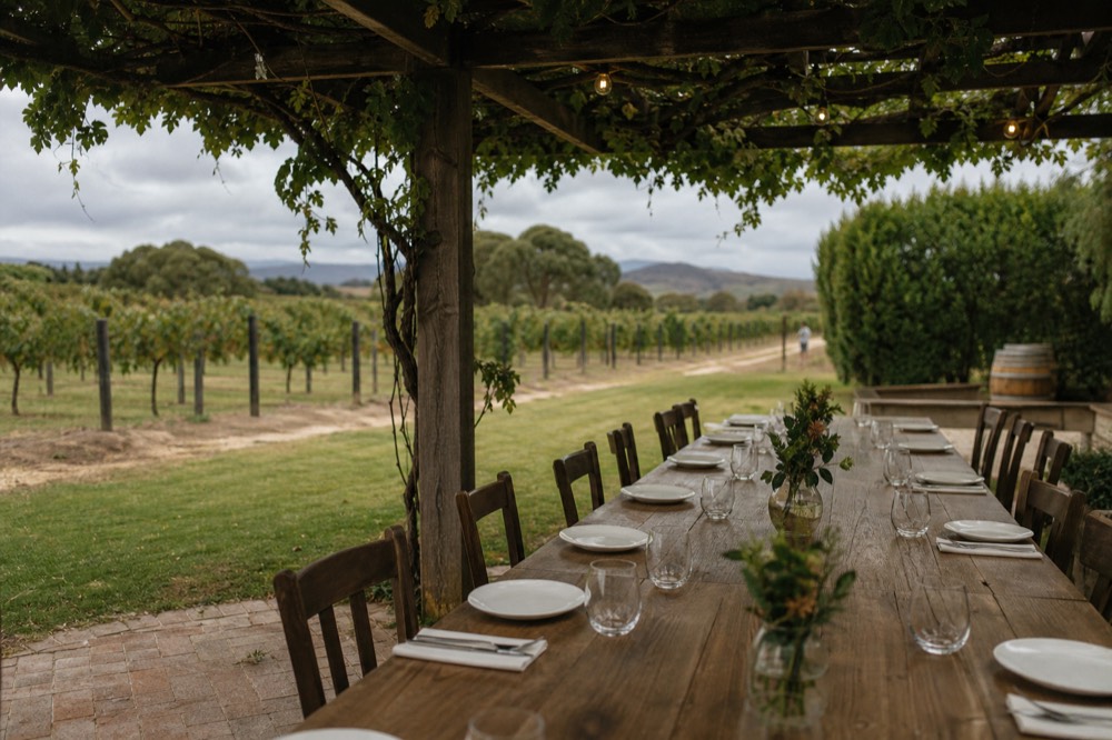 A long communal timber dining table set under a pergola beside a vineyard, plates and unbranded wine glasses, greenery overhead, warm midday light, no diners visible.