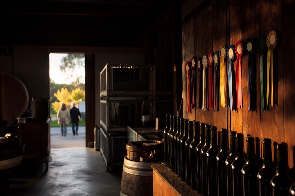 A row of trophy-style medals implied by rosettes hanging beside a rack of unlabelled bottles in a barrel room, warm low light, no text or brand marks.