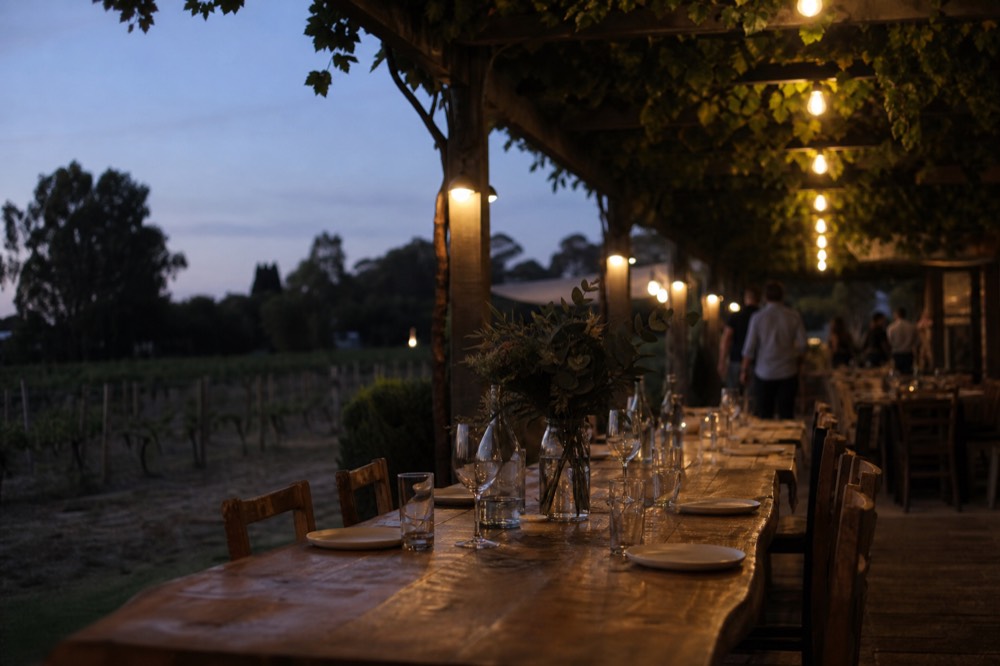 A long communal timber table set under a pergola beside a vineyard, plates and unbranded glasses, greenery overhead, warm midday light, no diners visible.