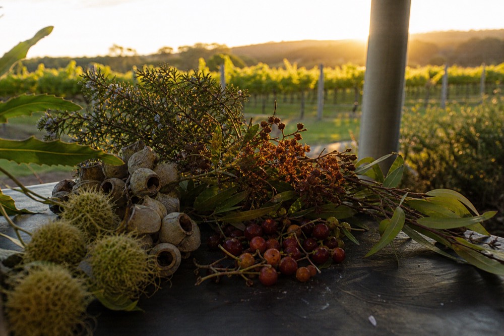 Native Australian herbs, seed pods and bush fruits arranged on a dark surface with soft daylight, textural and unlabelled, no text or people.