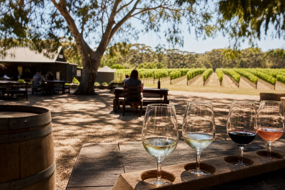 A winery courtyard with outdoor tables and vine rows beyond, a tasting flight on a table in the foreground, soft afternoon light, no people or branding.