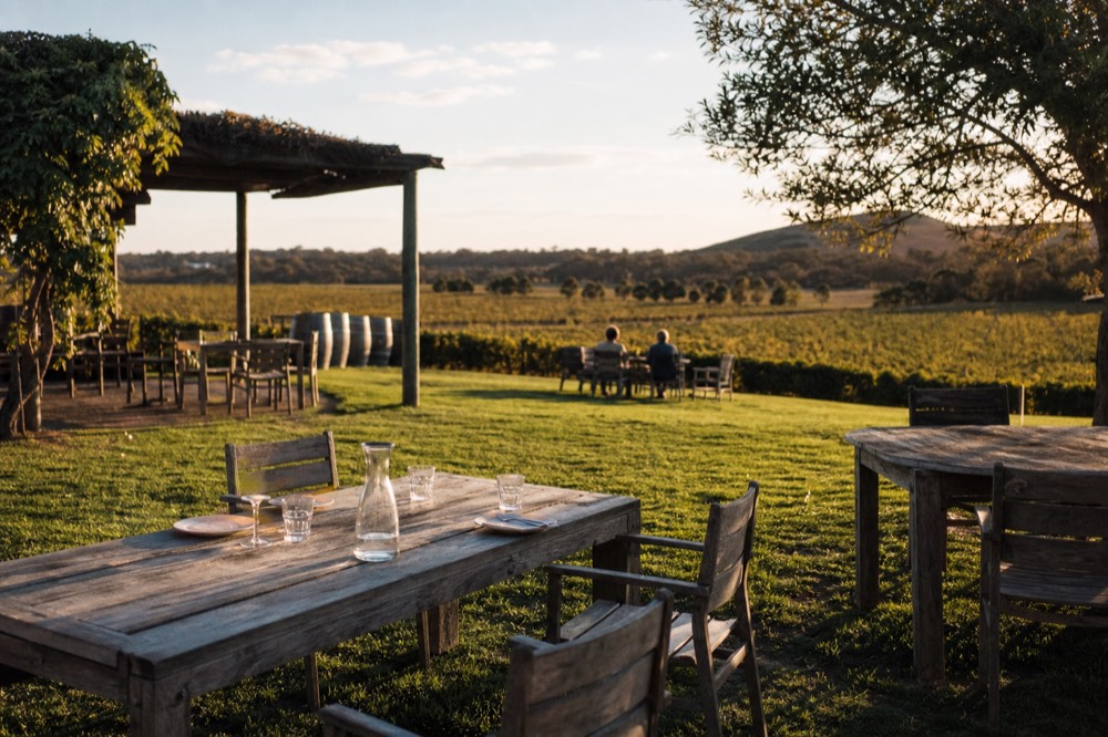 An outdoor cellar-door terrace with scattered timber tables on a lawn overlooking vines, a shaded pergola to one side, warm midday light, no people or branding.