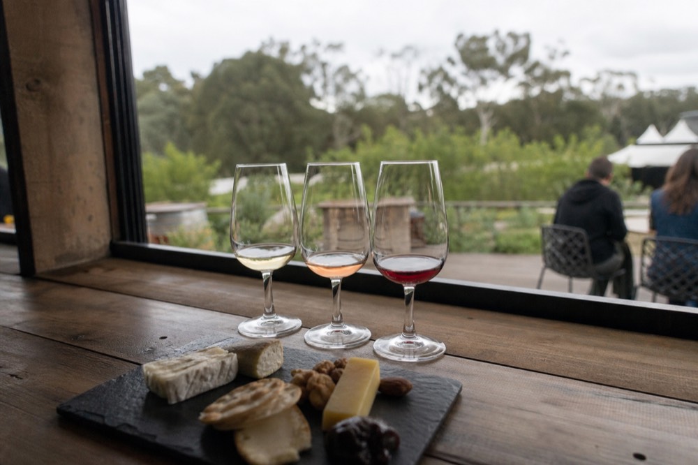 A cellar-door tasting bench with three unlabelled glasses holding small pours beside a slate cheese plate, soft window light, no branding or text.