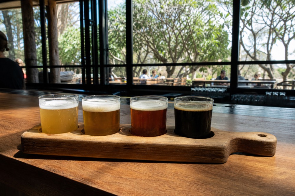 A brewery tasting paddle with small glasses of pale and dark beer on a timber bar, greenery through a window behind, no branding or text.