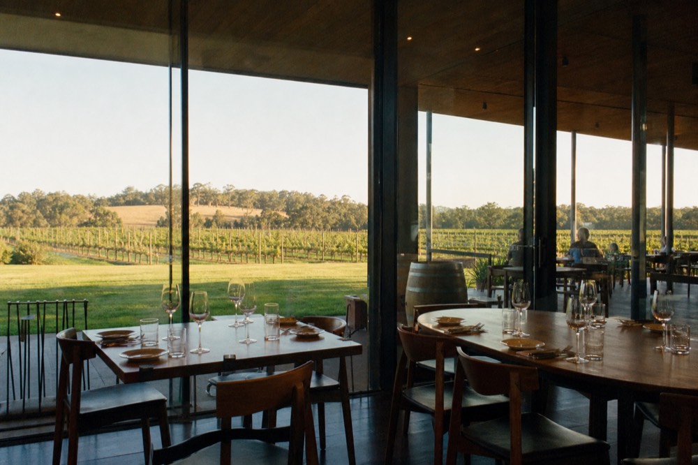 A winery dining room with full-height glass looking out over a wide lawn and vineyard, tables set with unbranded glassware, soft even daylight, no diners or signage visible.