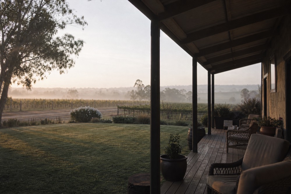 A quiet vineyard morning with mist rising between the rows and a guesthouse veranda in the foreground, soft grey light, no people or vehicles.